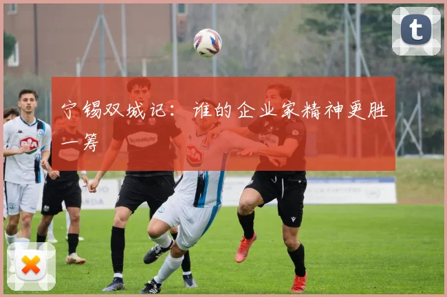 宁锡双城记：谁的企业家精神更胜一筹