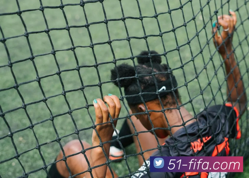 世界杯FIFA平台生态图