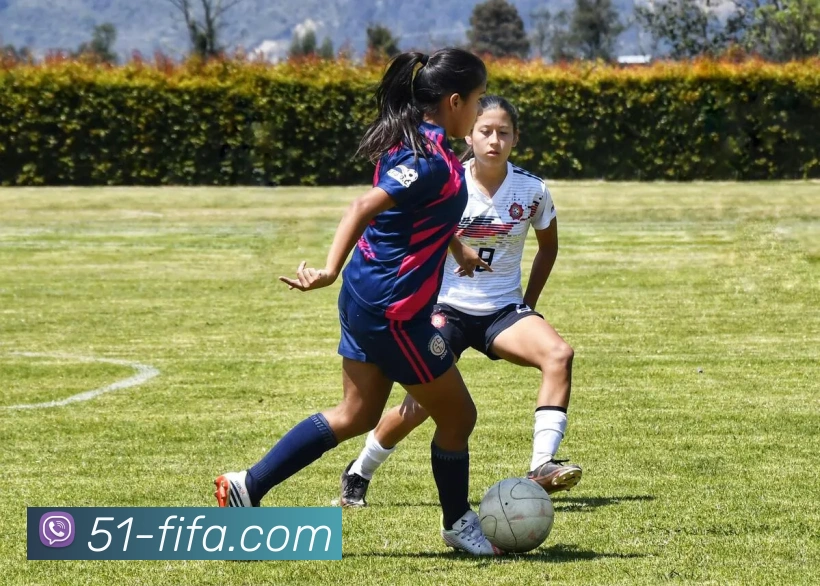 世界杯FIFA全站App